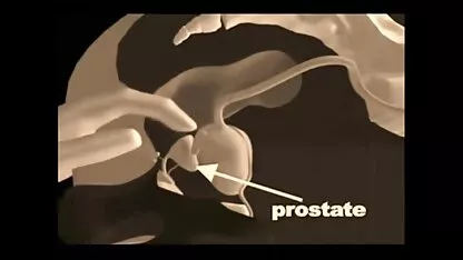Uomo avvitamento una varietà di film porno amatoriali italiani gratuiti pose bellezza 18 anni